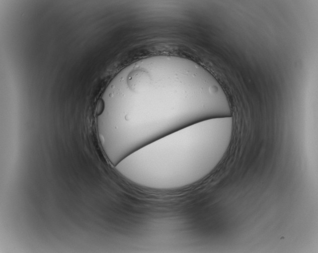 X0000116380751200912020945