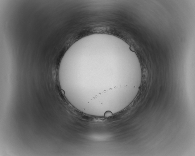 X0000116380753200912020945