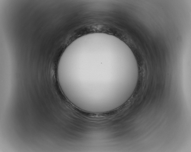X0000116380754200912020945