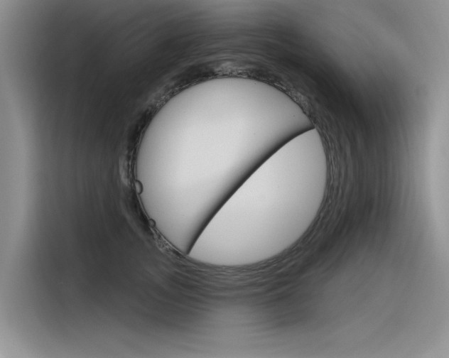 X0000116380755200912020945