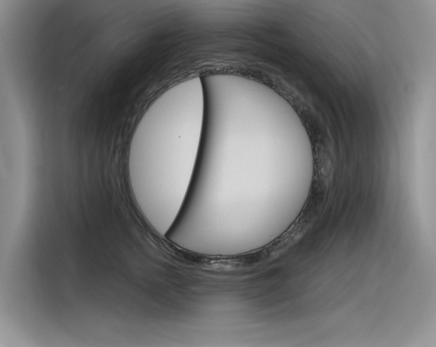X0000116380758200912020945