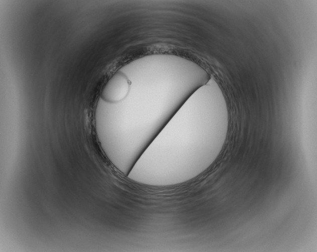 X0000116380759200912020945