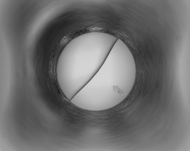 X0000116380763200912020946
