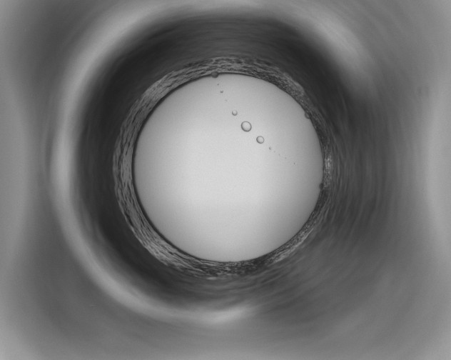X0000116380765200912020946