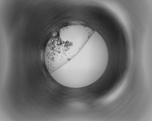 X0000116380767200912020946