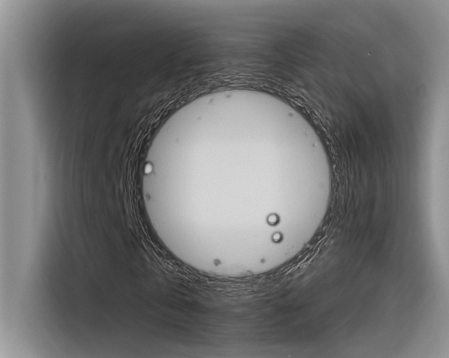 X0000116380769200912020945