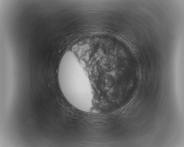 X0000116380770200912020945