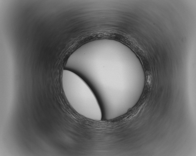 X0000116380771200912020945