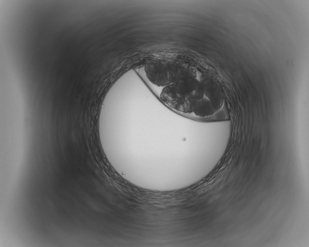 X0000116380772200912020945