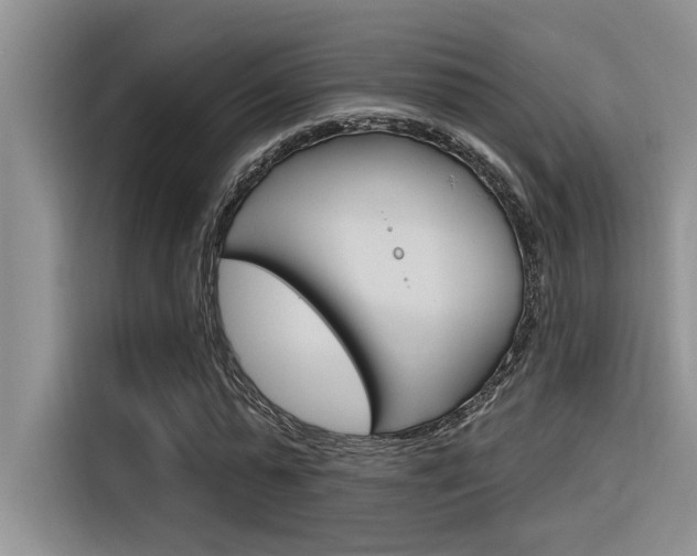 X0000116380775200912020945