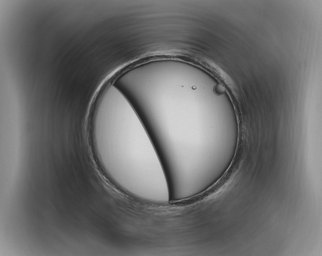 X0000116380779200912020945