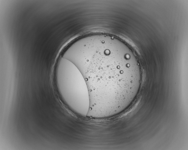 X0000116380782200912020945