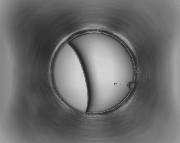 X0000116380783200912020945