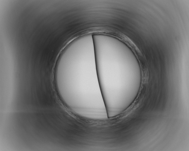 X0000116380786200912020945