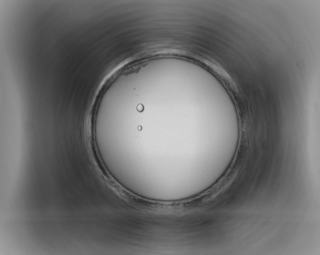 X0000116380790200912020945