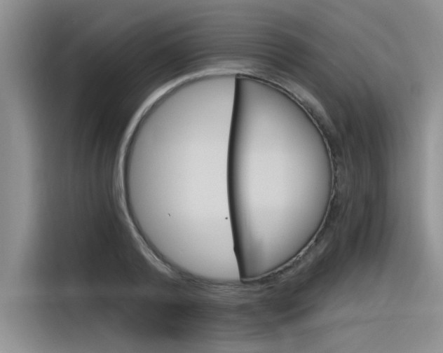 X0000116380792200912020945