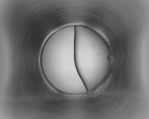 X0000116380797200912020945