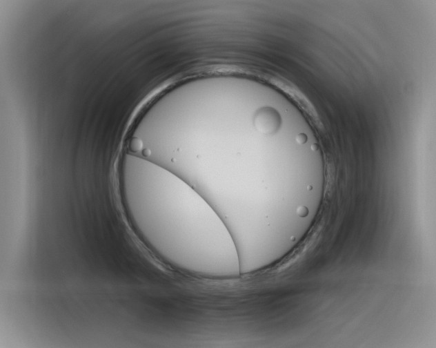 X0000116380798200912020945