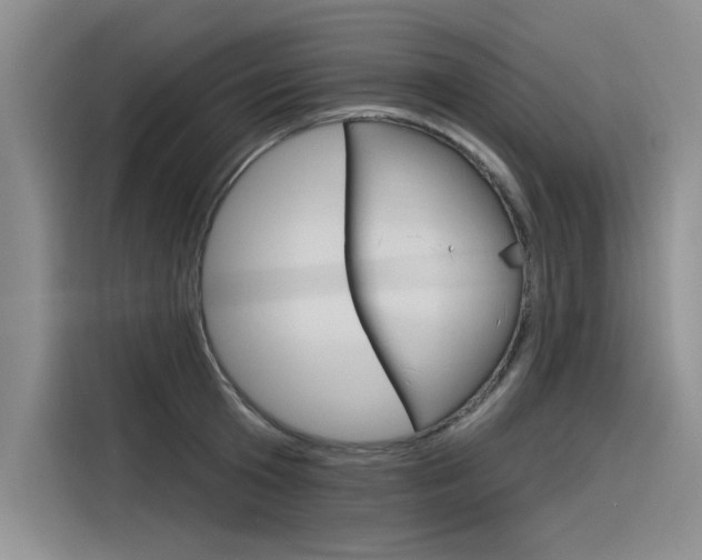 X0000116380801200912020945