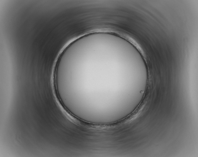 X0000116380803200912020945