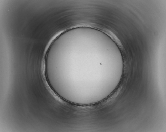 X0000116380804200912020944