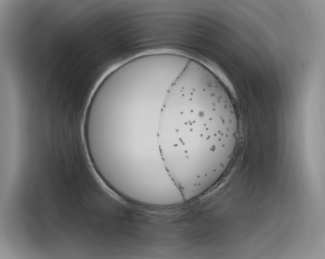 X0000116380805200912020944
