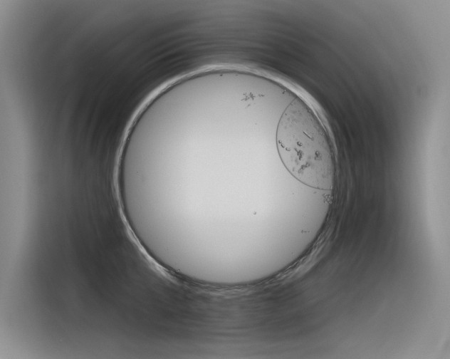 X0000116380807200912020944