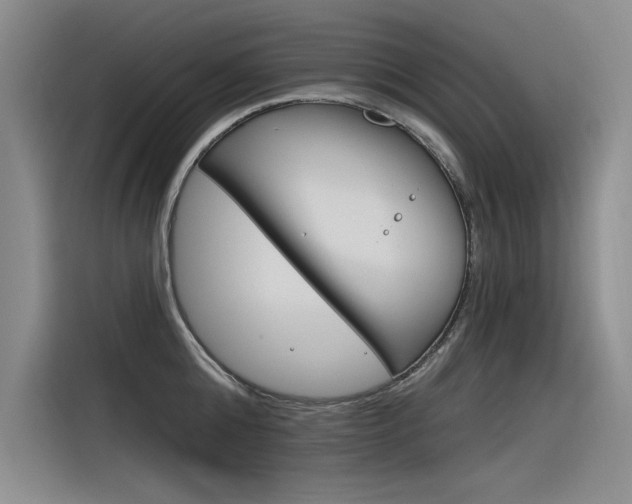X0000116380808200912020944