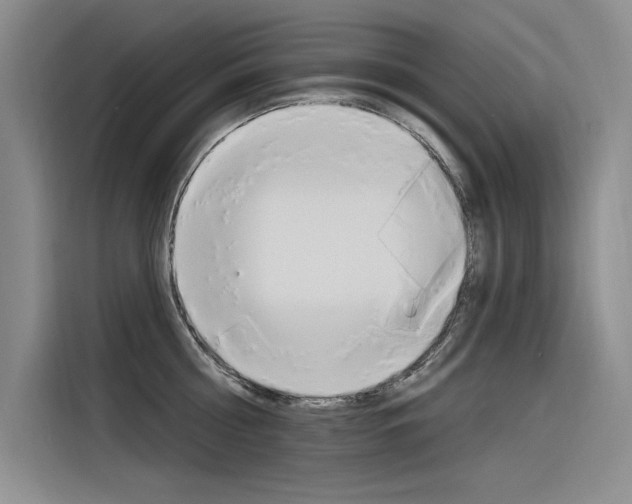 X0000116380810200912020944