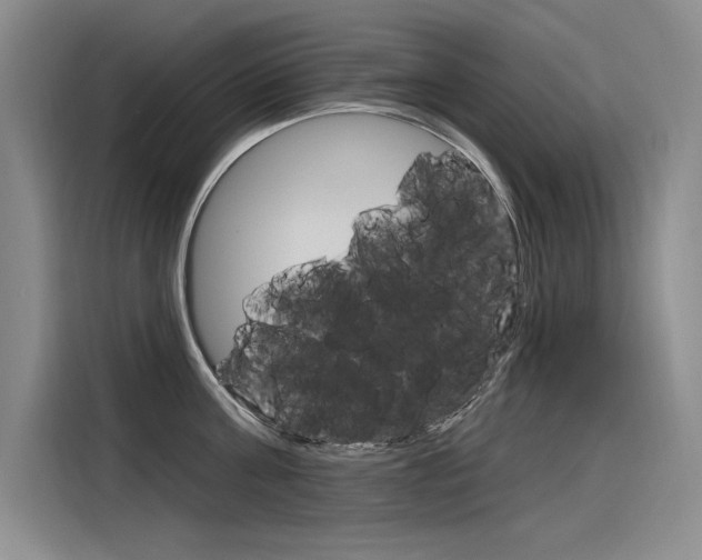 X0000116380811200912020944