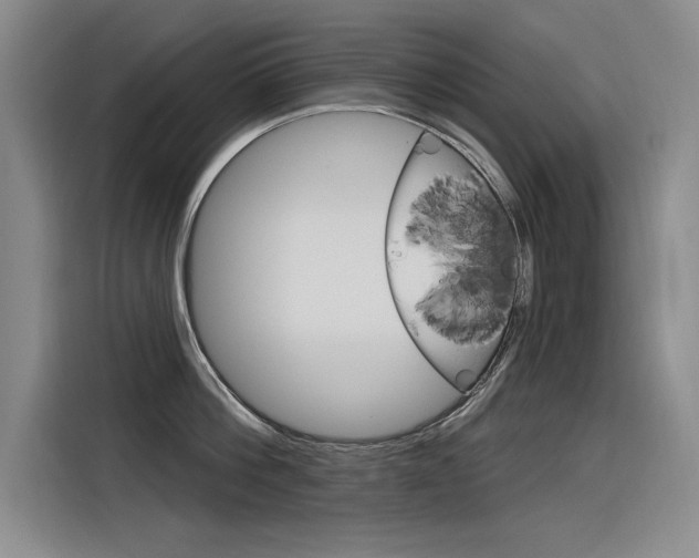 X0000116380812200912020944