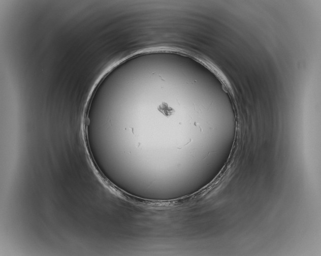 X0000116380813200912020944