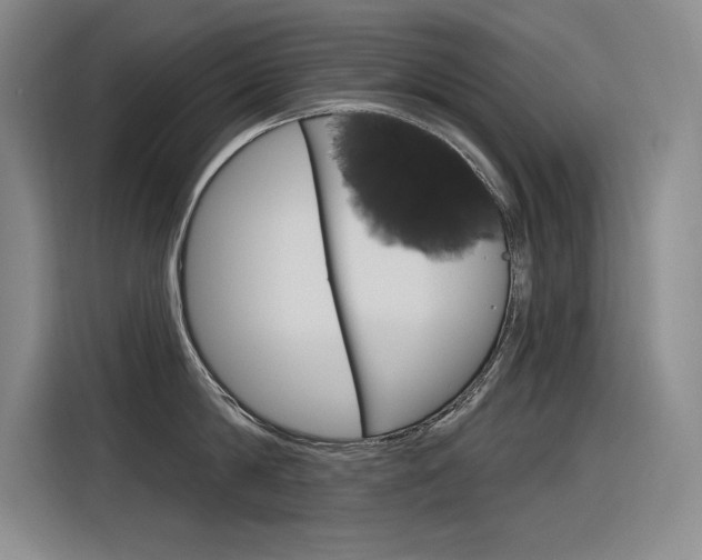 X0000116380814200912020944
