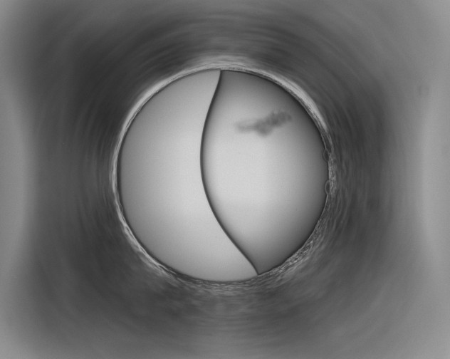 X0000116380815200912020944
