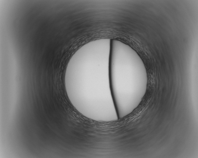 X0000116380818200912020944