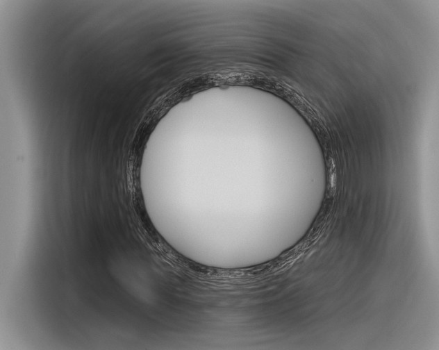 X0000116380819200912020944