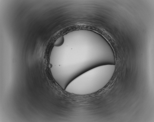 X0000116380821200912020944