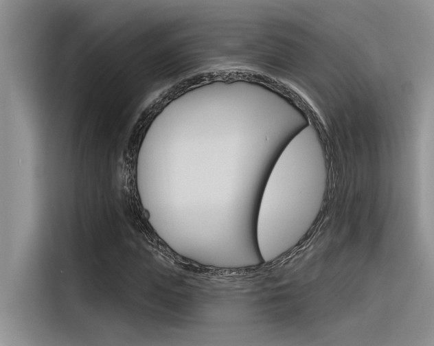 X0000116380823200912020944