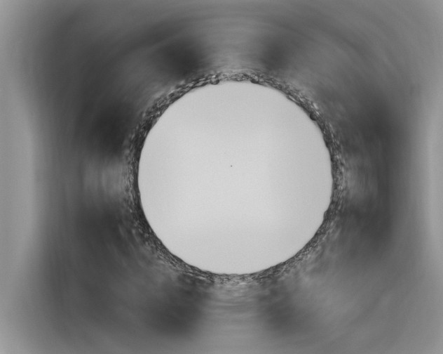 X0000116380824200912020944