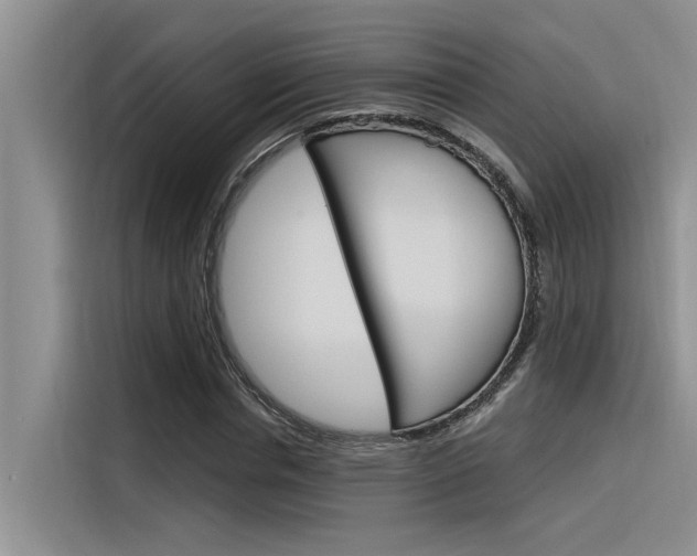 X0000116380826200912020944