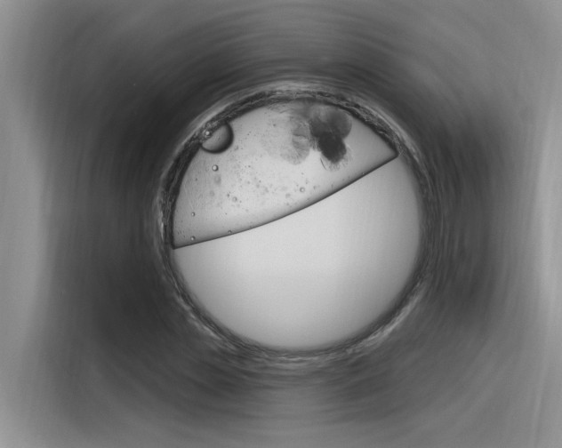 X0000116380829200912020944