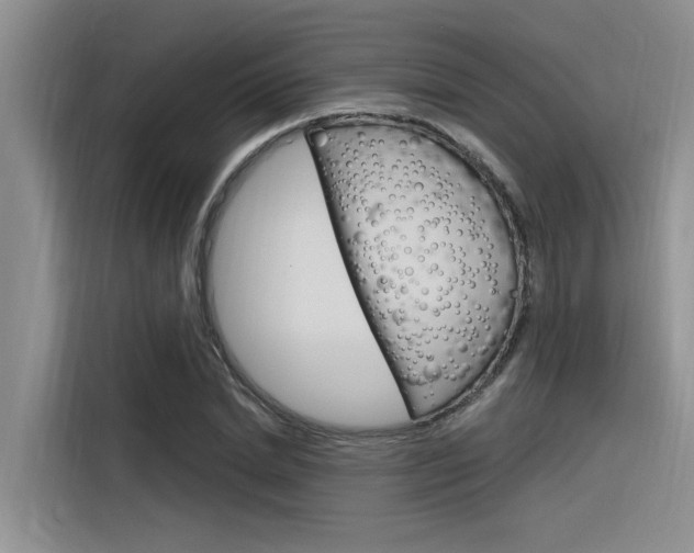X0000116380830200912020944