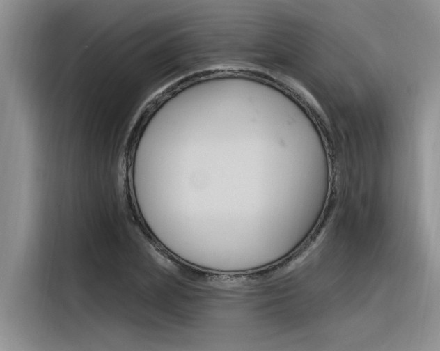 X0000116380831200912020944