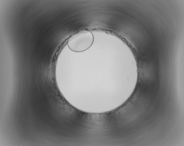 X0000116380832200912020944