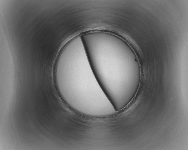 X0000116380834200912020944