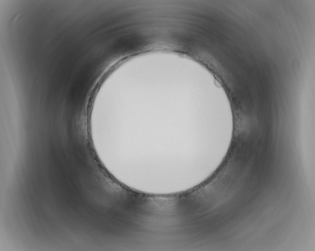 X0000116380836200912020944