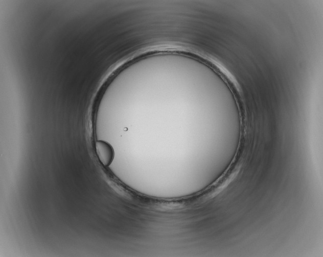 X0000116380837200912020944
