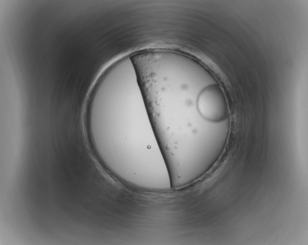 X0000116380838200912020944