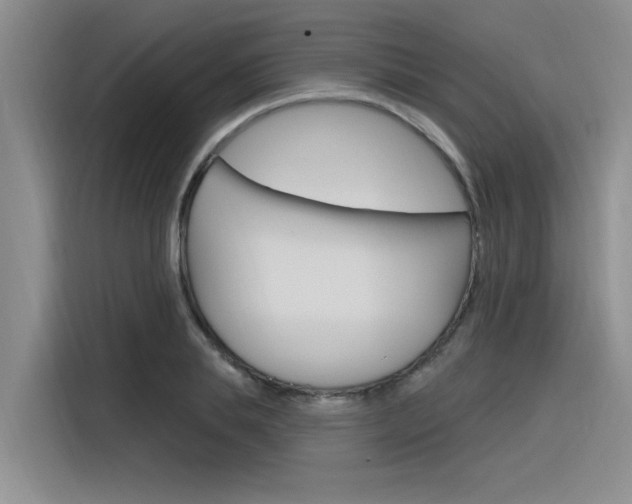 X0000116380839200912020944