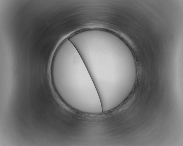 X0000116380840200912020944